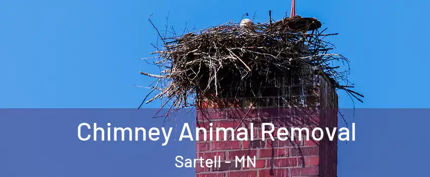  Chimney Animal Removal Sartell - MN