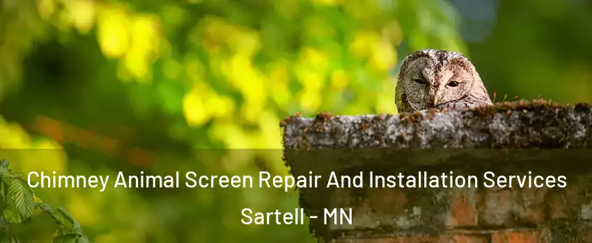  Chimney Animal Screen Repair And Installation Services Sartell - MN