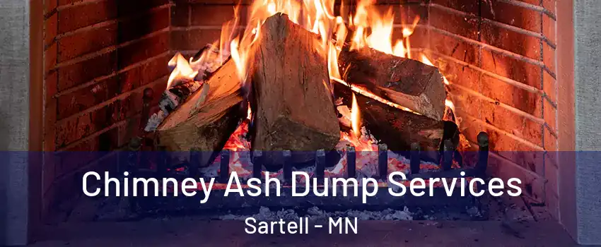  Chimney Ash Dump Services Sartell - MN