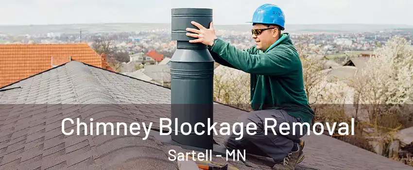  Chimney Blockage Removal Sartell - MN