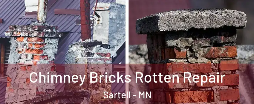  Chimney Bricks Rotten Repair Sartell - MN