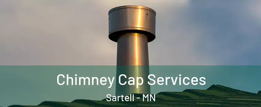 Chimney Cap Services Sartell - MN