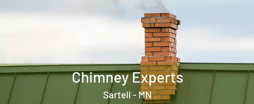  Chimney Experts Sartell - MN