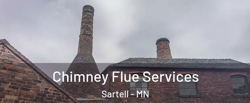 Chimney Flue Services Sartell - MN