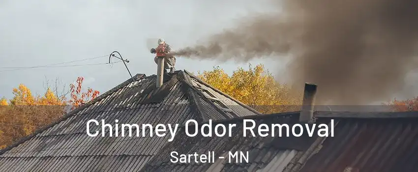  Chimney Odor Removal Sartell - MN