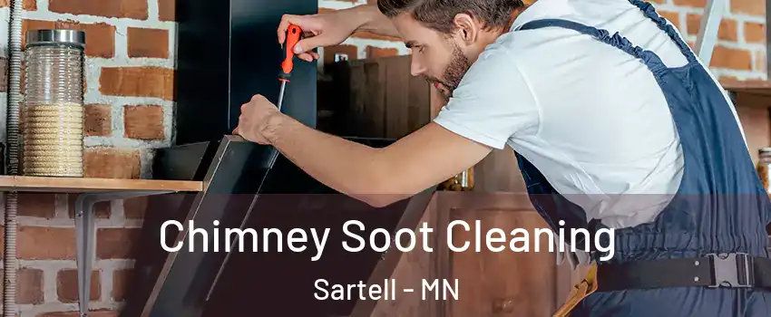 Chimney Soot Cleaning Sartell - MN