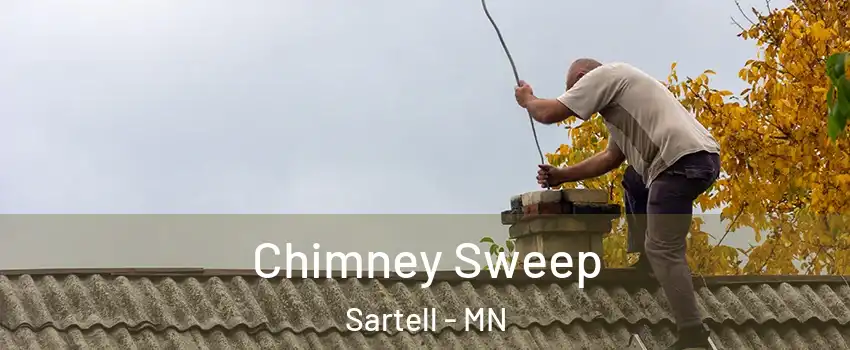 Chimney Sweep Sartell - MN