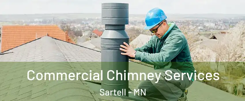  Commercial Chimney Services Sartell - MN
