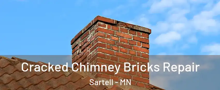  Cracked Chimney Bricks Repair Sartell - MN