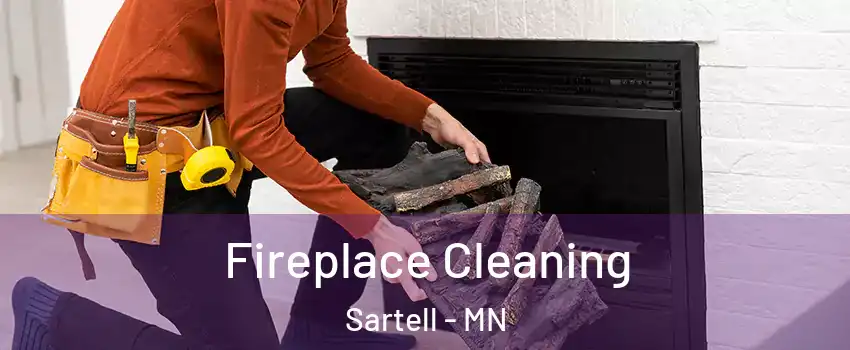 Fireplace Cleaning Sartell - MN