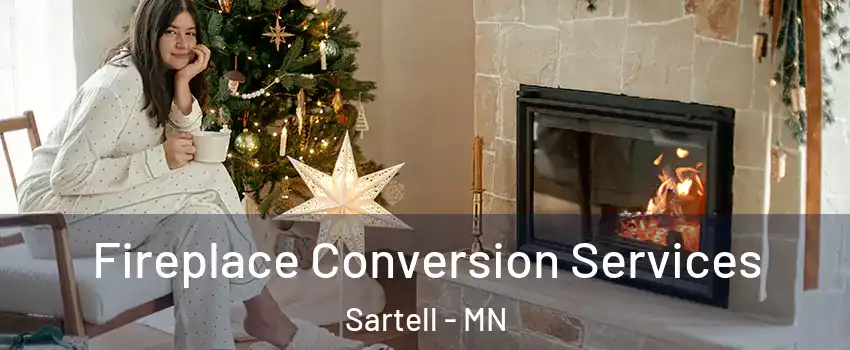  Fireplace Conversion Services Sartell - MN
