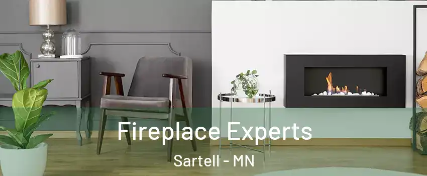  Fireplace Experts Sartell - MN