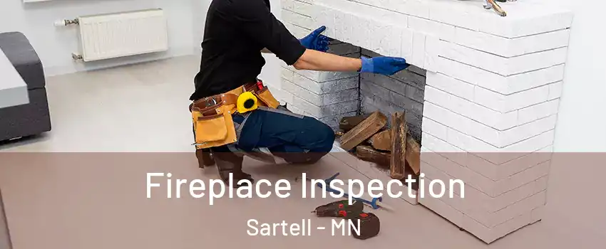 Fireplace Inspection Sartell - MN