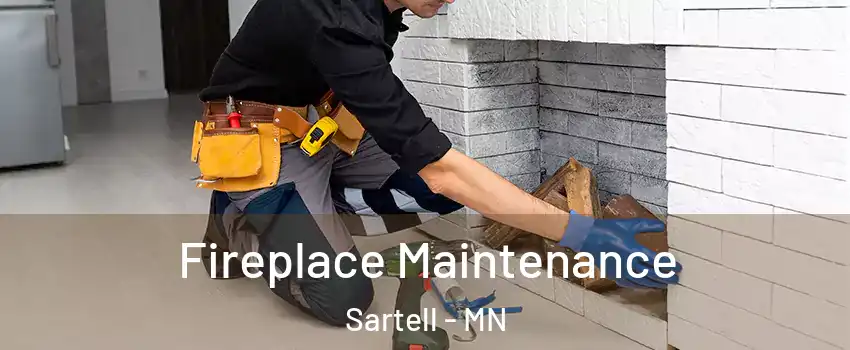  Fireplace Maintenance Sartell - MN