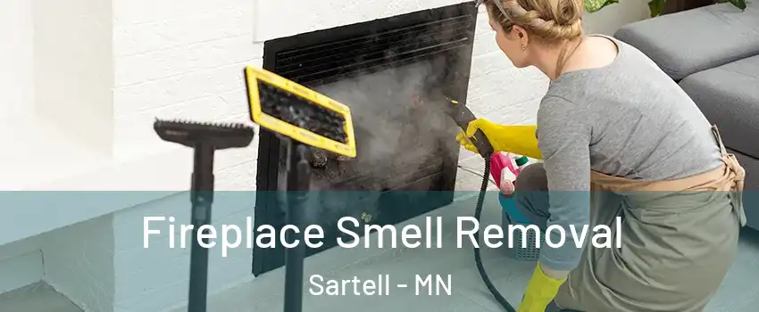  Fireplace Smell Removal Sartell - MN