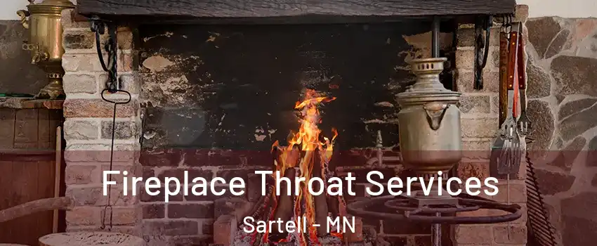 Fireplace Throat Services Sartell - MN