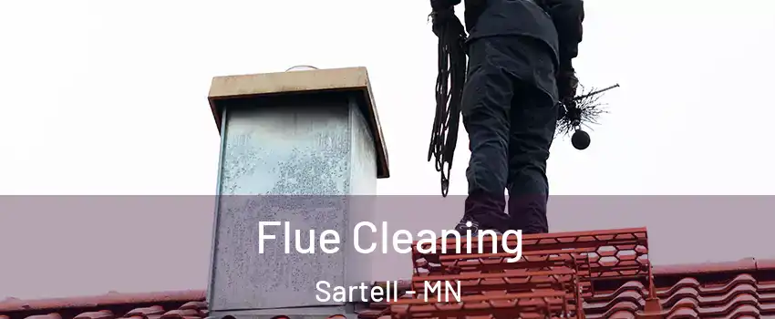 Flue Cleaning Sartell - MN