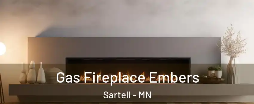 Gas Fireplace Embers Sartell - MN