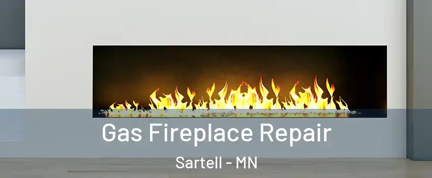  Gas Fireplace Repair Sartell - MN