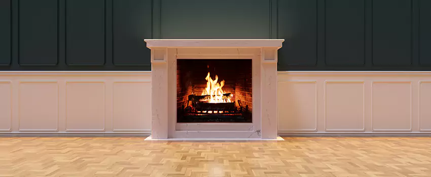 Napoleon Electric Fireplaces Inspection Service in Sartell, Minnesota