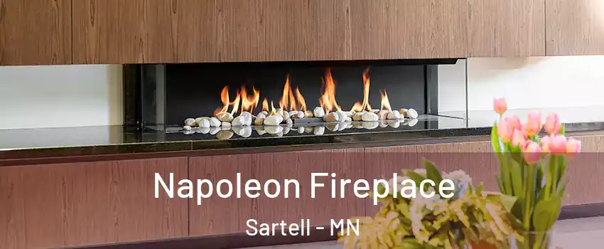  Napoleon Fireplace Sartell - MN