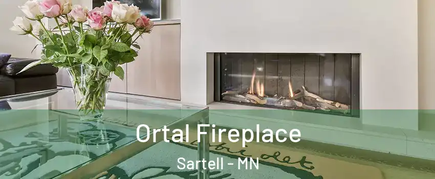  Ortal Fireplace Sartell - MN