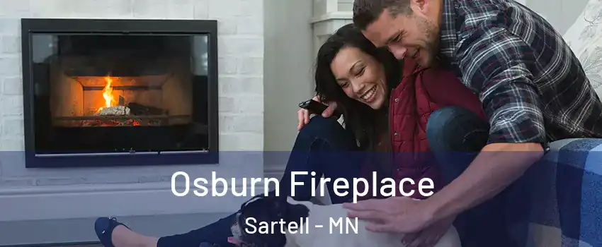  Osburn Fireplace Sartell - MN