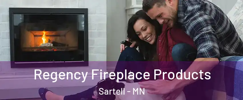  Regency Fireplace Products Sartell - MN